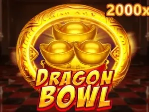 Dragon Bowl game cover